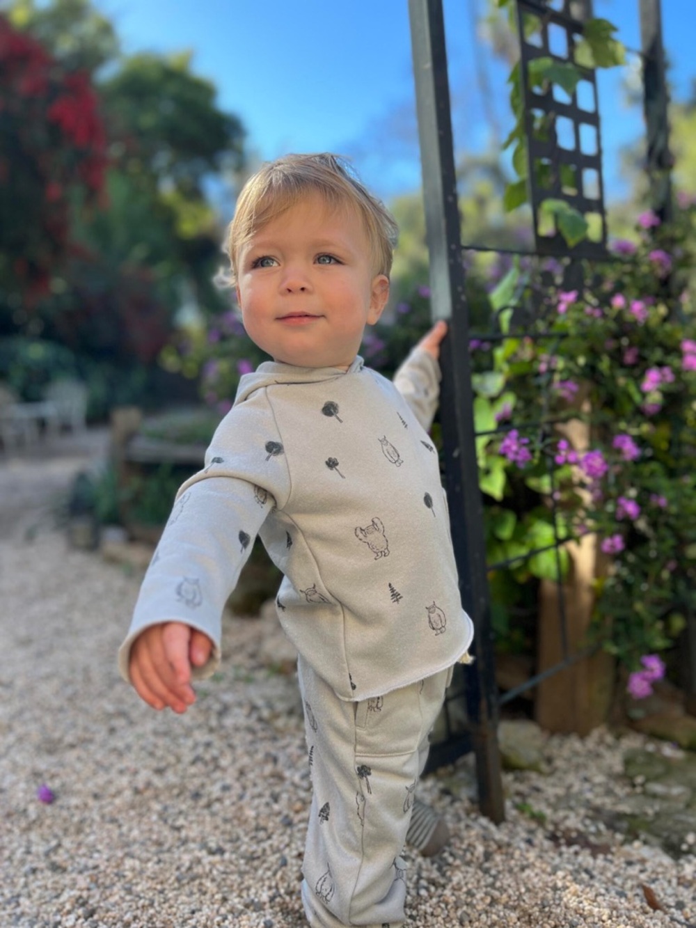 Cozy Light Gray Woodland Hoodie for Kids